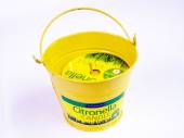 Citronella metal candle bucket *