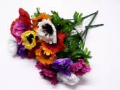 Anemone bush - 3asstd*