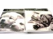  Lge square note cards, cats/dogs,(5.5"x5.5"), pkt8, 2designs,+envelopes.*...