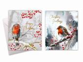 Box 10, square robin Christmas cards.