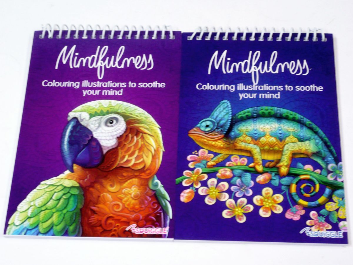 Spiral adult colour pad - 2asstd*