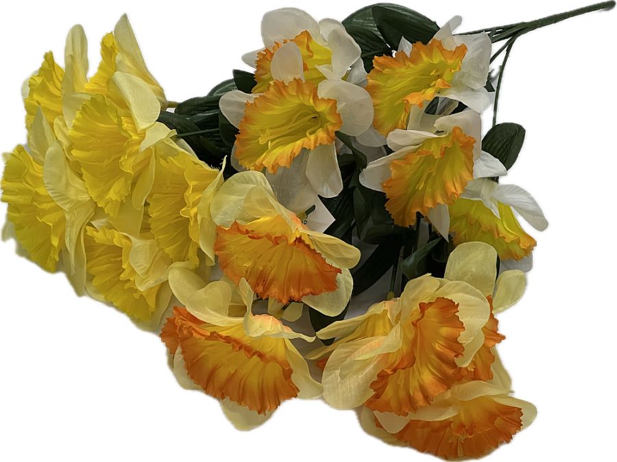 Daffodil bush - 3/cols*