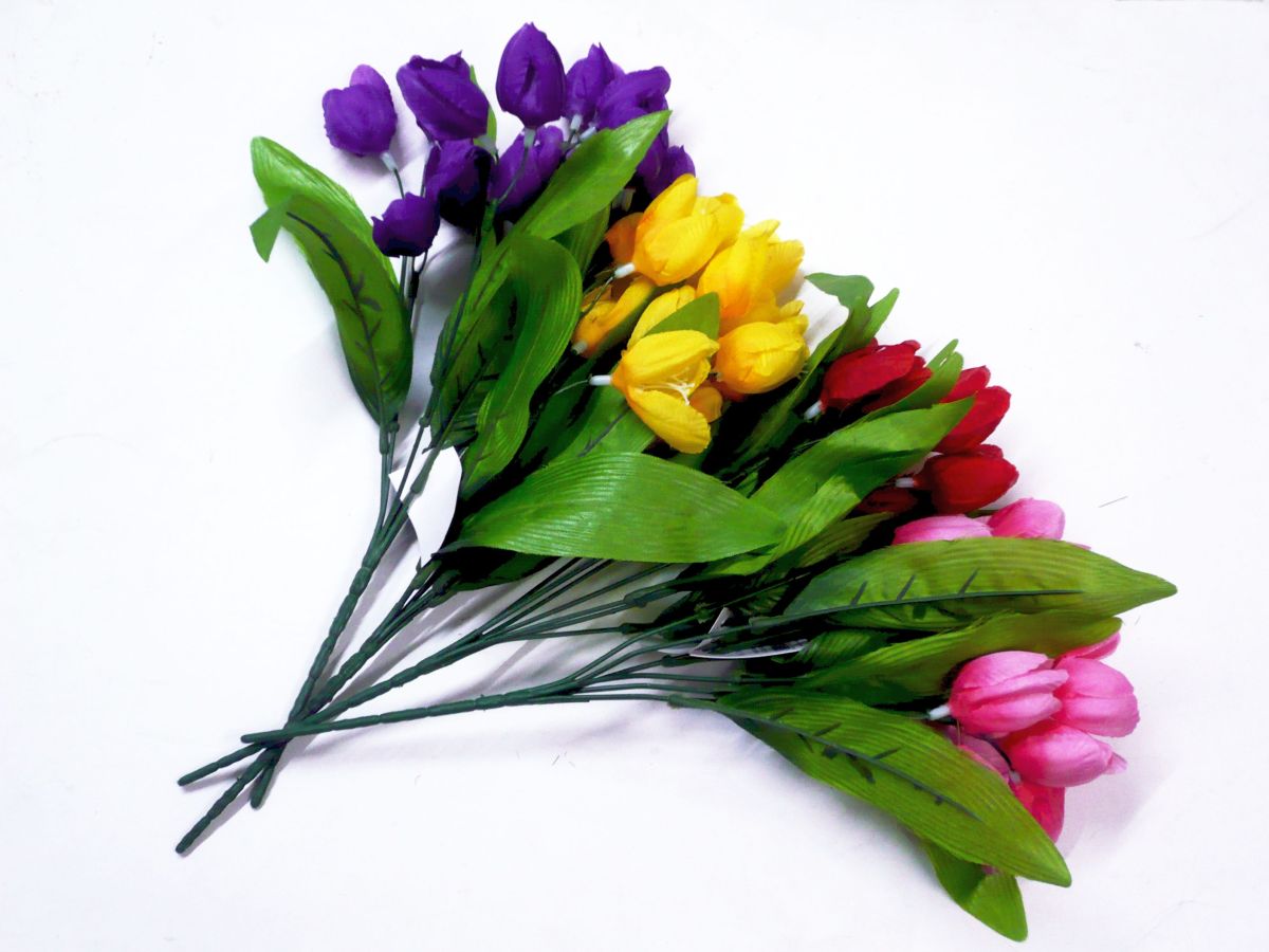 Tulip bush - 4/cols*