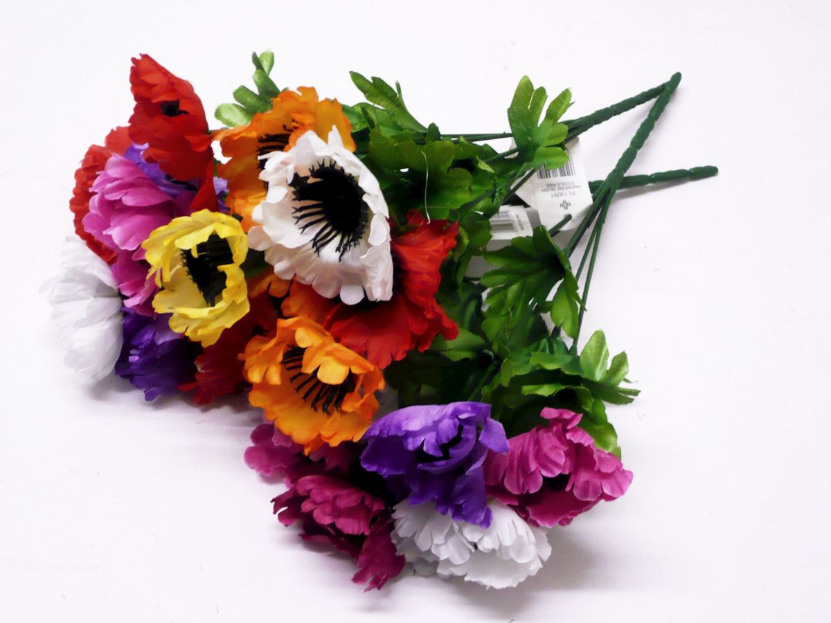 Anemone bush - 3asstd*