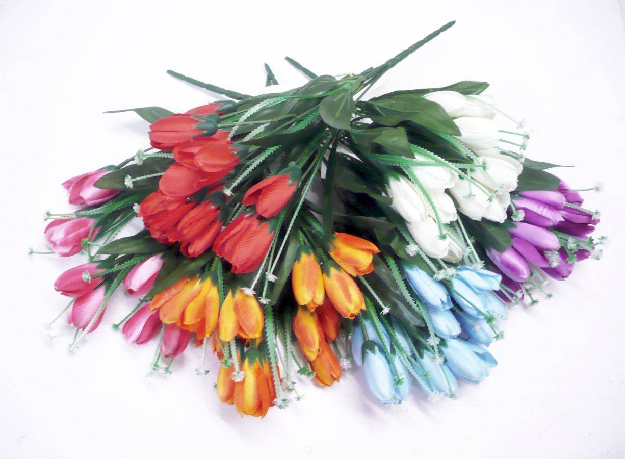 Tulip bush - 2/cols RED/PINK*
(BL-0590)