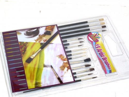 15pc asstd artist brushes.