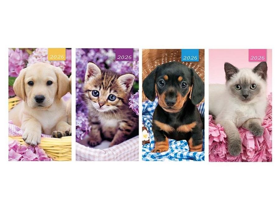 2026 2w-t-v slim kitten/puppy slim diary - 4asstd*