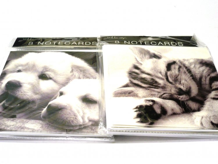Lge square note cards, cats/dogs,(5.5"x5.5"), pkt8, 2designs,+envelopes.*