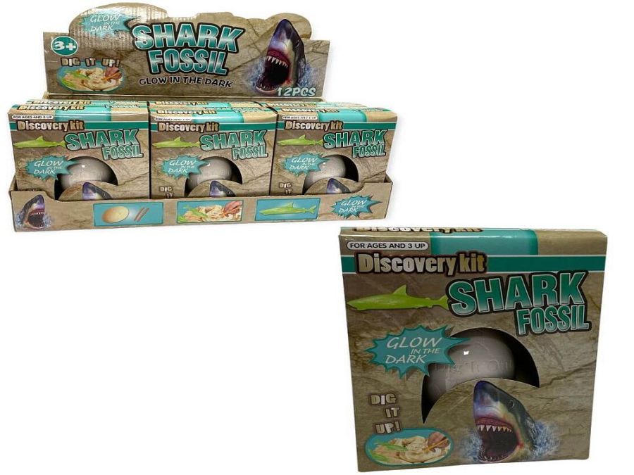 Glow in the dark shark fossil*
(ADD 12 FOR DISPLAY)