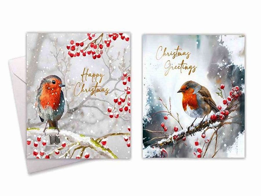 Box 10, square robin Christmas cards.