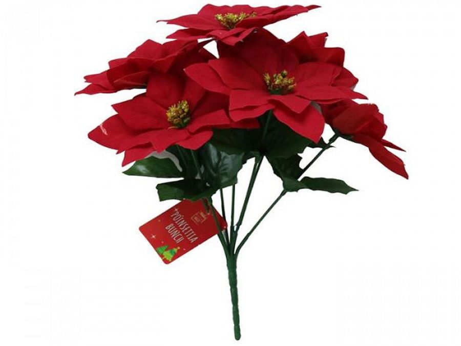 Poinsettia bunch.